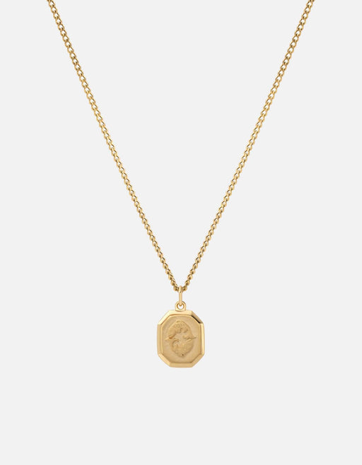 Miansai Necklaces Zodiac Nyle Necklace, Gold Vermeil Pisces/Polished Gold / 18 in. / Monogram: No